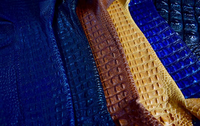 exotic leather: caiman